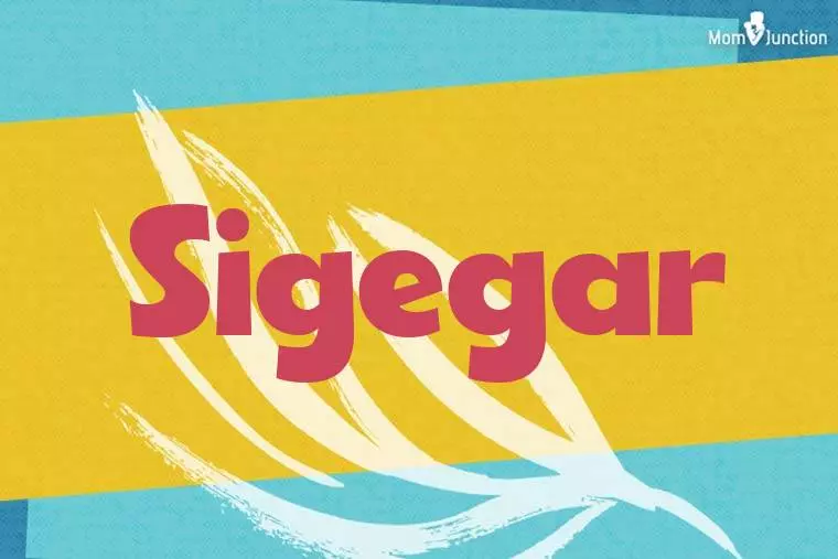 Sigegar Stylish Wallpaper