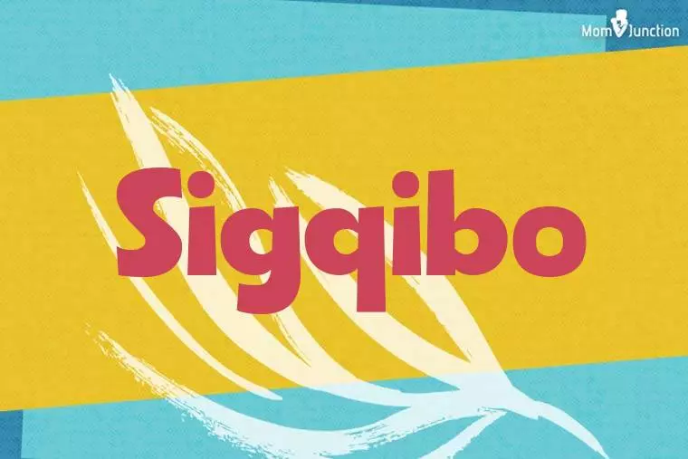 Sigqibo Stylish Wallpaper