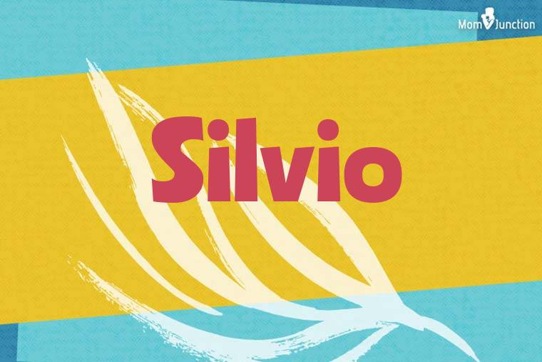 Silvio Stylish Wallpaper