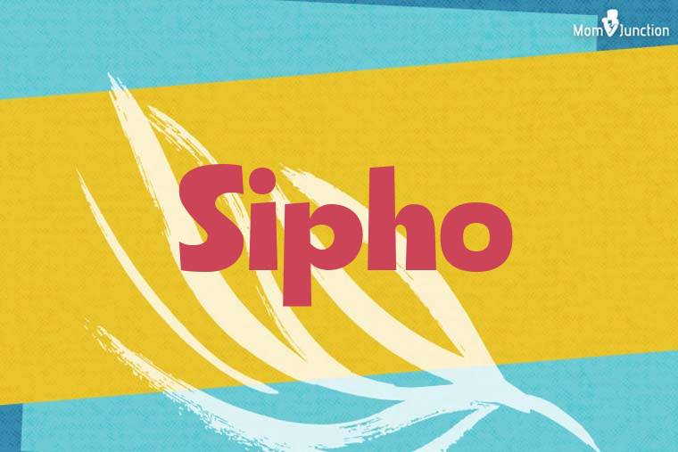 Sipho Stylish Wallpaper