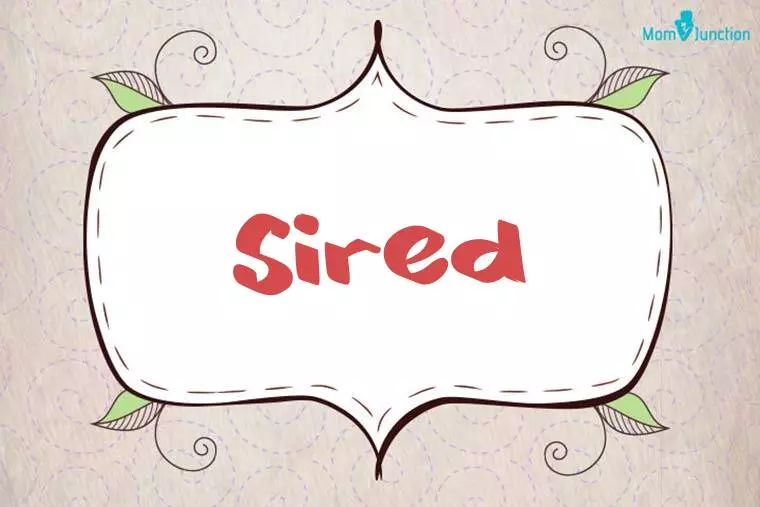 Sired Stylish Wallpaper