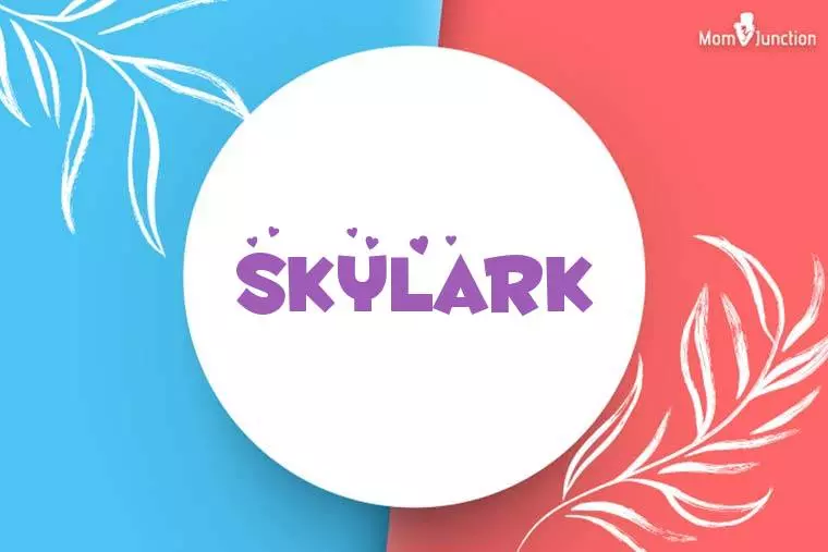 Skylark Stylish Wallpaper