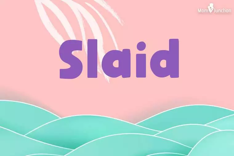 Slaid Stylish Wallpaper