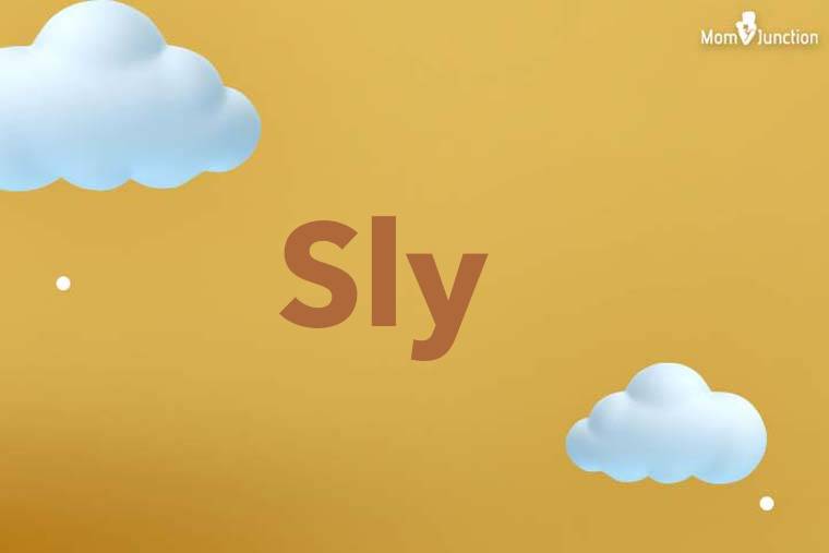 Sly 3D Wallpaper