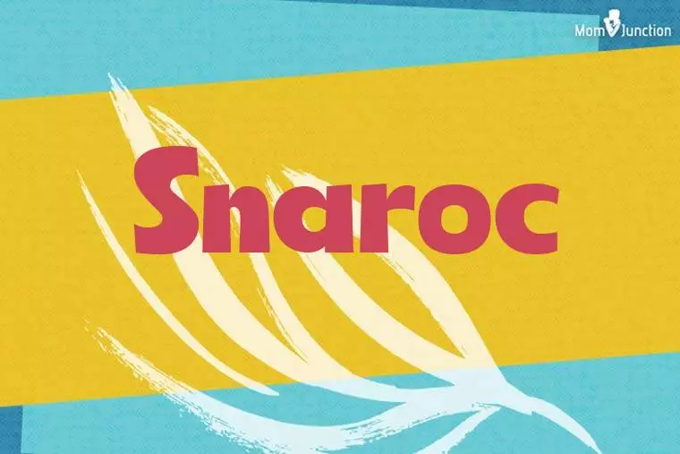 Snaroc Stylish Wallpaper