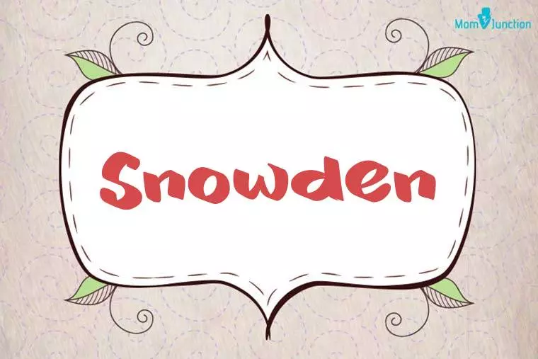 Snowden Stylish Wallpaper