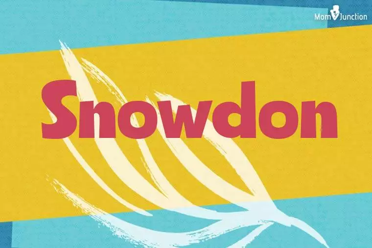 Snowdon Stylish Wallpaper