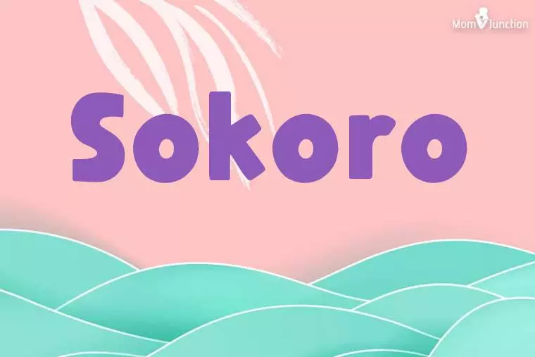 Sokoro Stylish Wallpaper