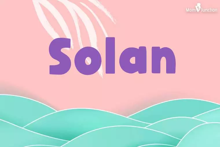 Solan Stylish Wallpaper