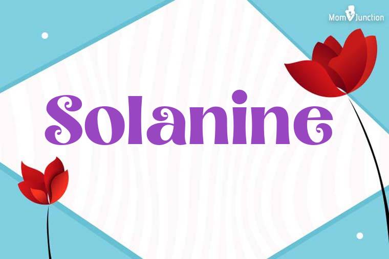 Solanine 3D Wallpaper