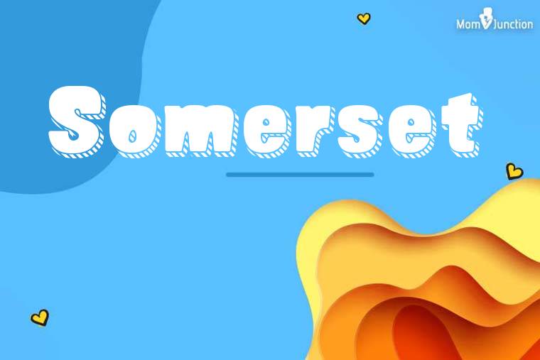 Somerset 3D Wallpaper