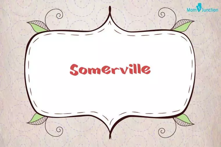 Somerville Stylish Wallpaper