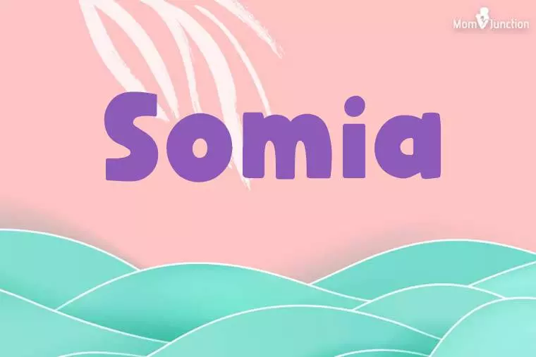 Somia Stylish Wallpaper