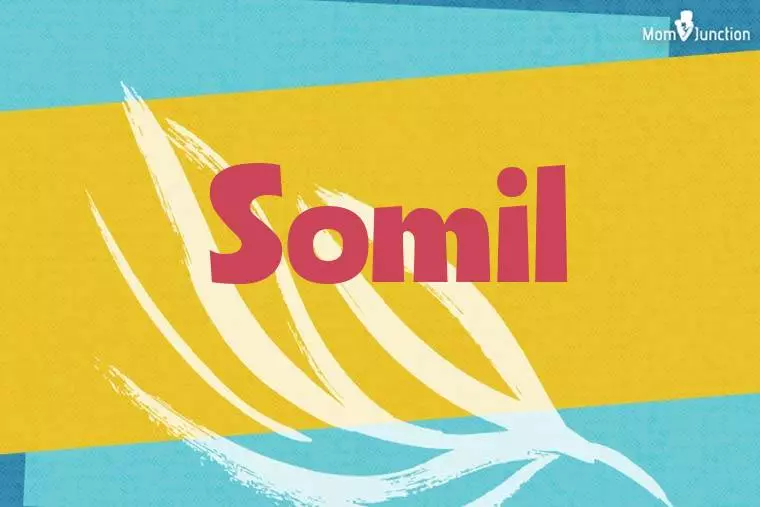 Somil Stylish Wallpaper