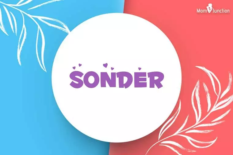 Sonder Stylish Wallpaper