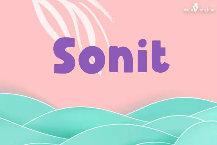 Sonit Stylish Wallpaper