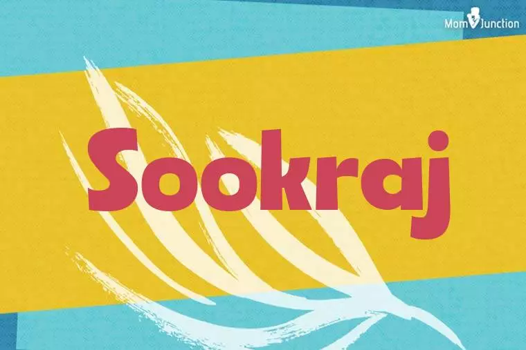 Sookraj Stylish Wallpaper