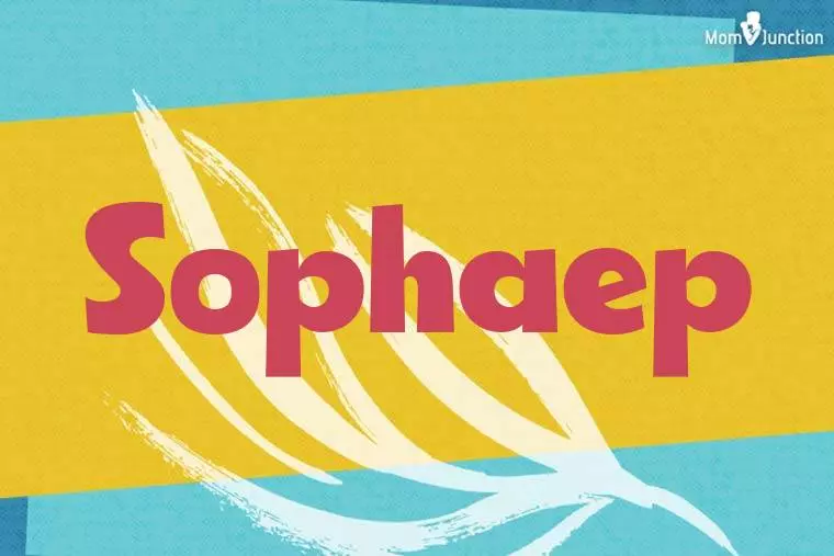 Sophaep Stylish Wallpaper