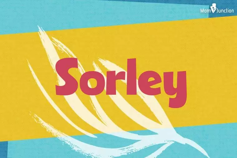 Sorley Stylish Wallpaper