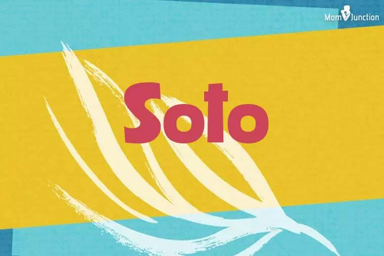 Soto Stylish Wallpaper