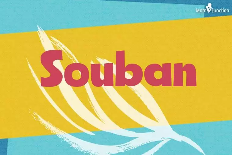 Souban Stylish Wallpaper