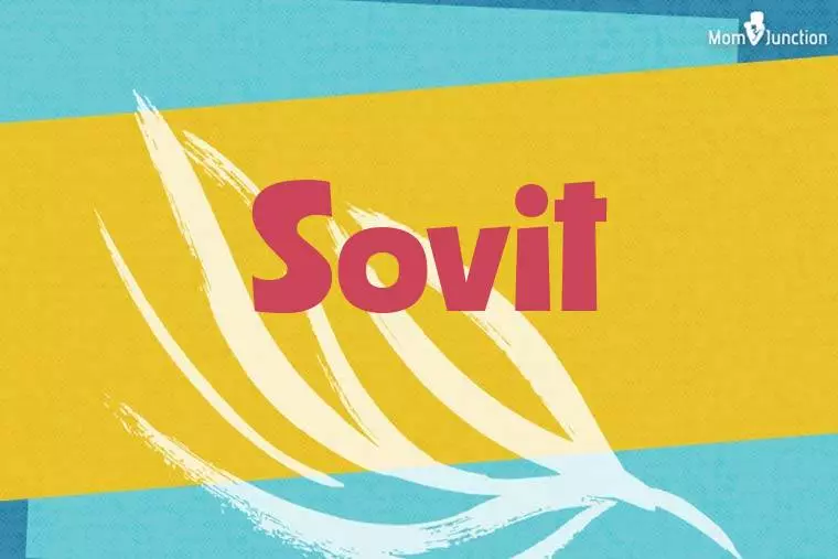 Sovit Stylish Wallpaper