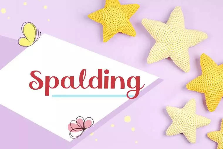 Spalding Stylish Wallpaper