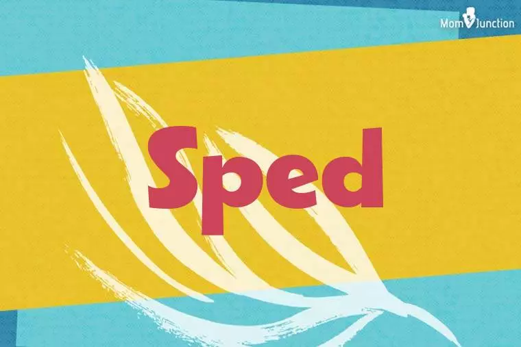 Sped Stylish Wallpaper