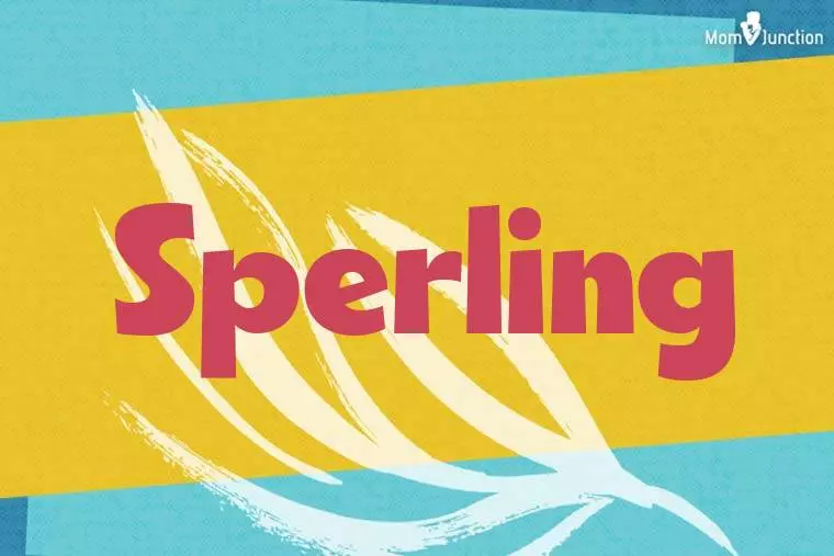 Sperling Stylish Wallpaper