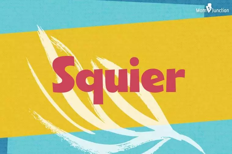 Squier Stylish Wallpaper