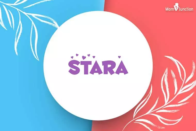 Stara Stylish Wallpaper