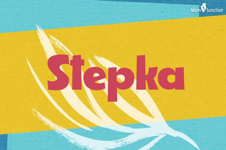 Stepka Stylish Wallpaper