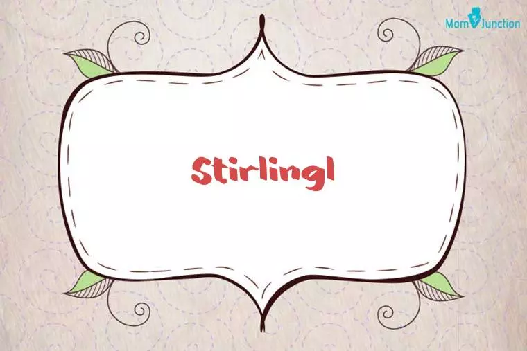 Stirlingl Stylish Wallpaper