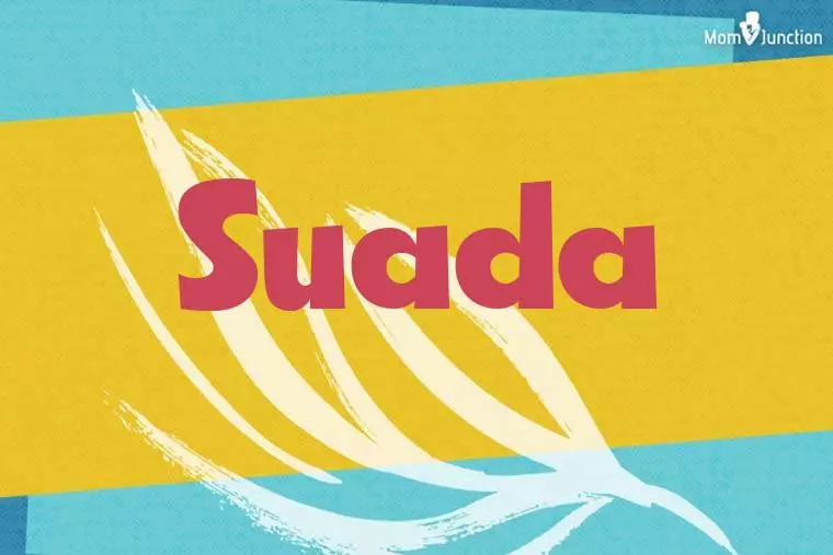 Suada Stylish Wallpaper