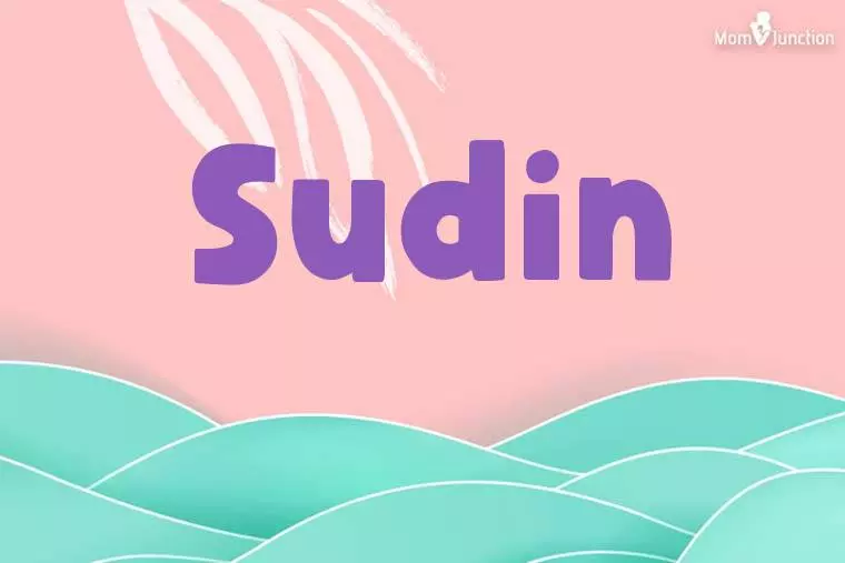 Sudin Stylish Wallpaper