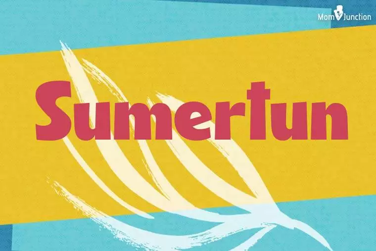 Sumertun Stylish Wallpaper