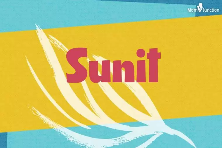 Sunit Stylish Wallpaper