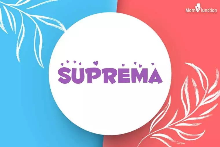 Suprema Stylish Wallpaper