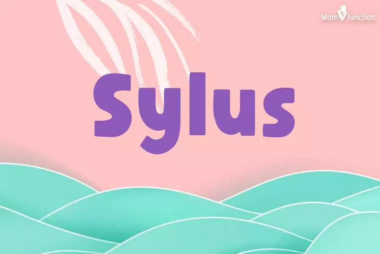 Sylus Stylish Wallpaper