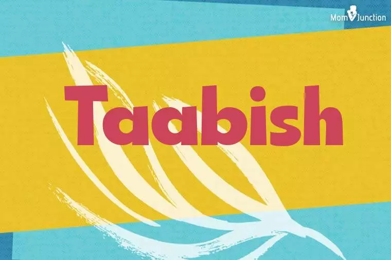 Taabish Stylish Wallpaper