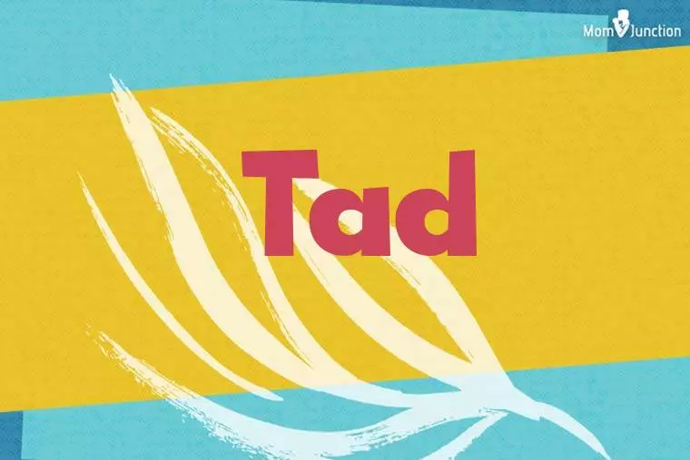 Tad Stylish Wallpaper