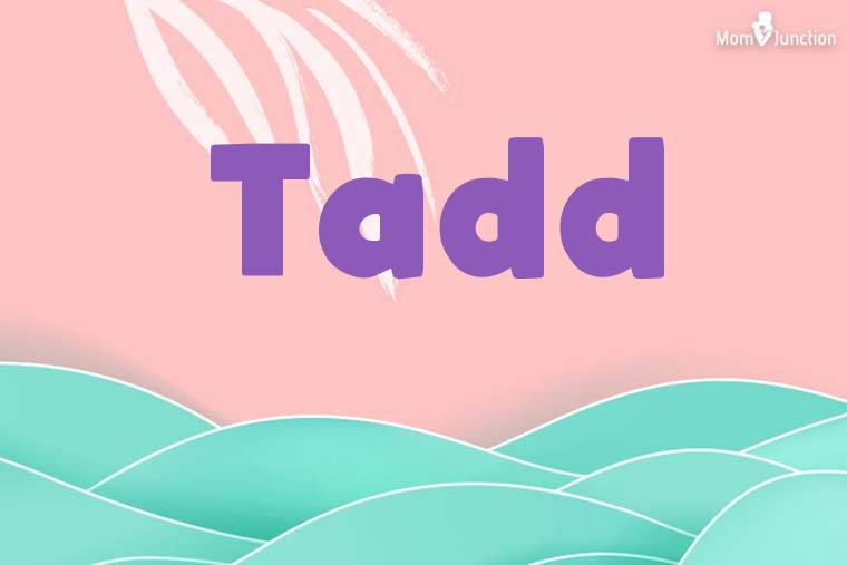 Tadd Stylish Wallpaper