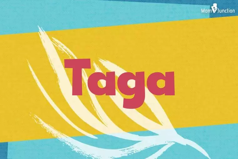 Taga Stylish Wallpaper