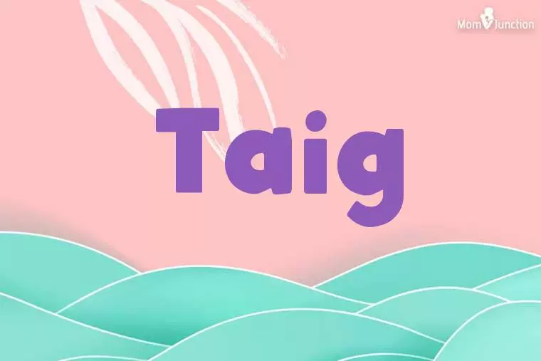 Taig Stylish Wallpaper