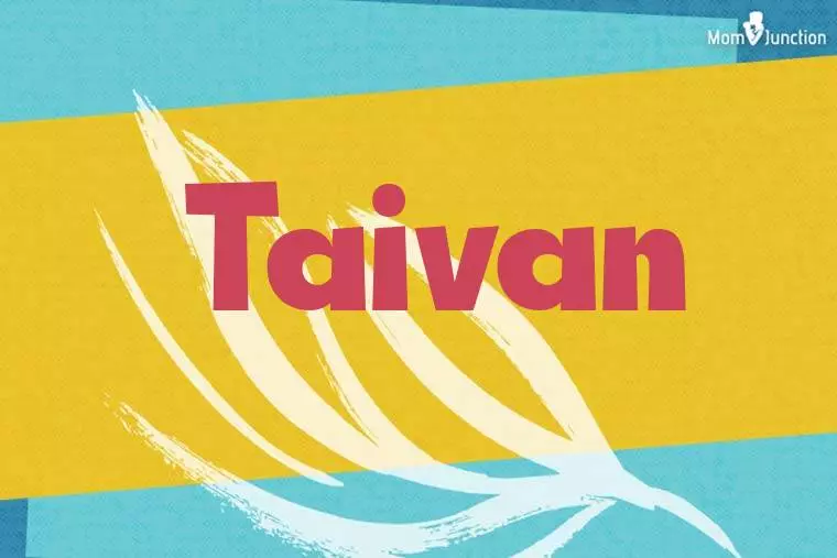 Taivan Stylish Wallpaper