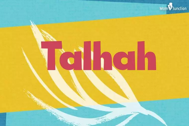 Talhah Stylish Wallpaper