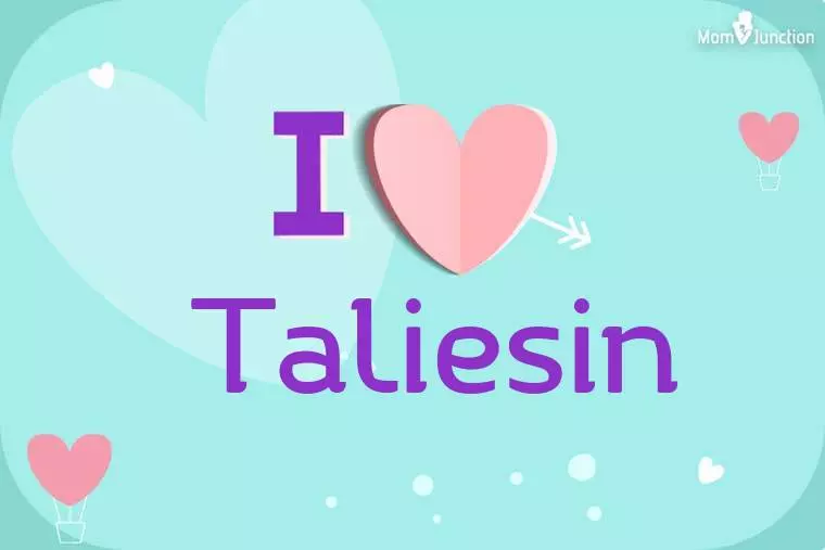 I Love Taliesin Wallpaper