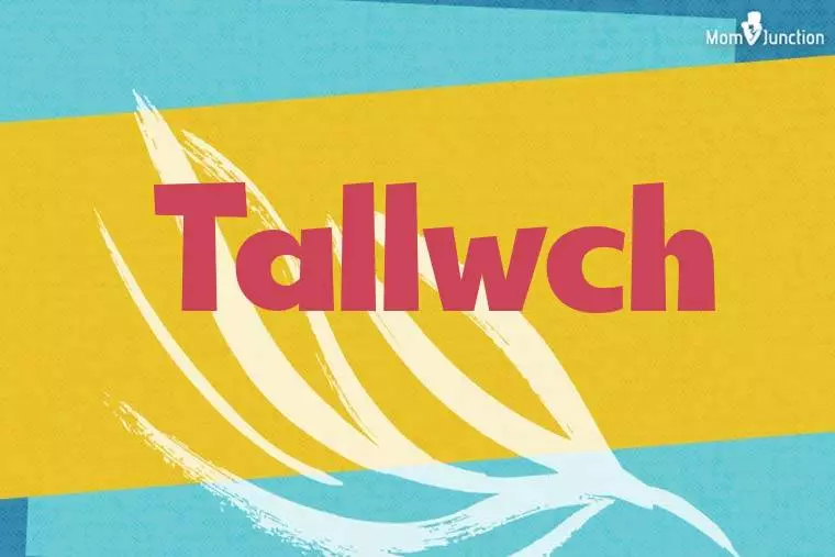 Tallwch Stylish Wallpaper