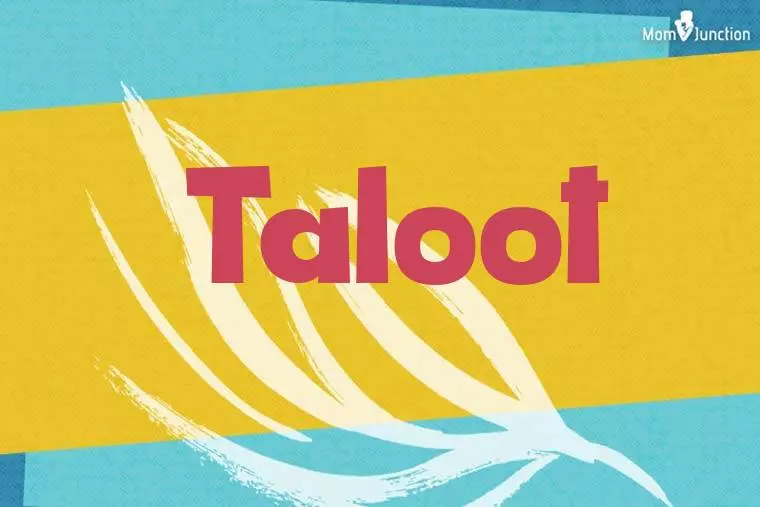 Taloot Stylish Wallpaper