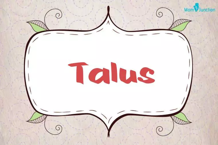 Talus Stylish Wallpaper